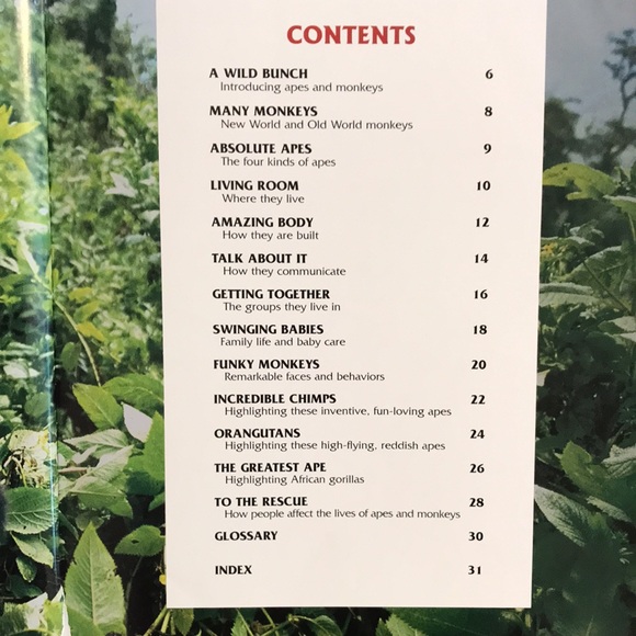 Animal Books for Kids - Picture 8 of 9